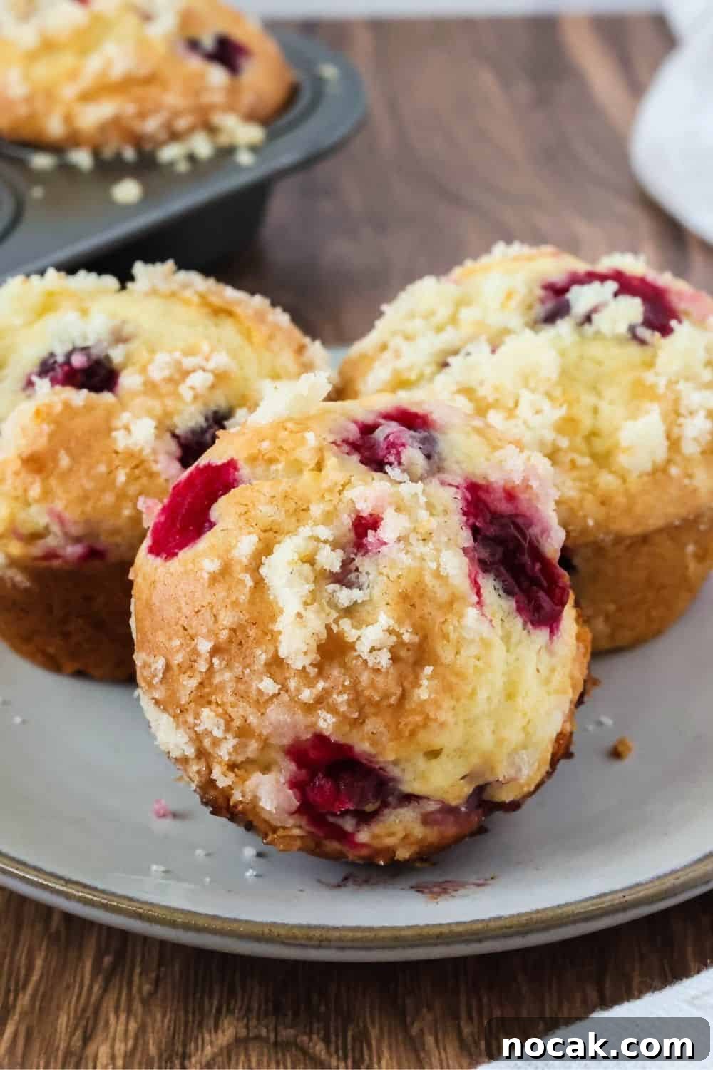 Cranberry Orange Muffins Made with Cake Mix 10 close-up view of the top of a holiday cranberry orange muffin, including the sugary streusel topping.