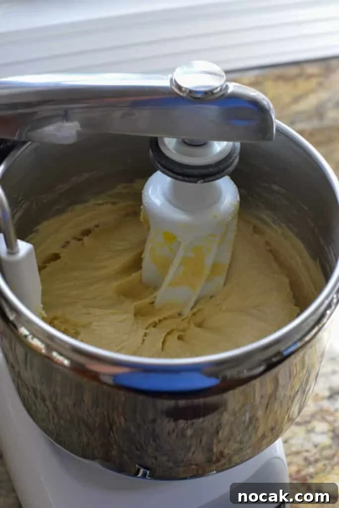Stand Mixer Reviews: KitchenAid, Bosch, Ankarsrum & Ooni Compared 12 Ankarsrum mixer mixing dough.