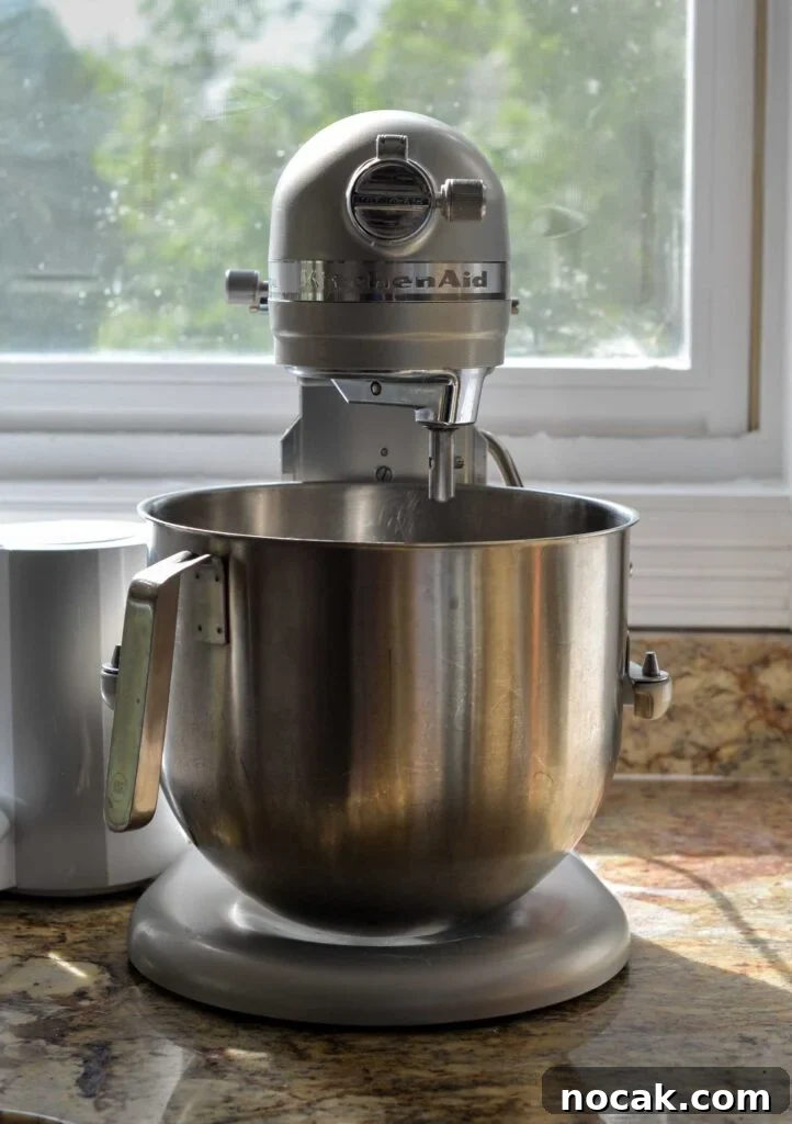 Stand Mixer Reviews: KitchenAid, Bosch, Ankarsrum & Ooni Compared 4 KitchenAid stand mixer sitting on a countertop.