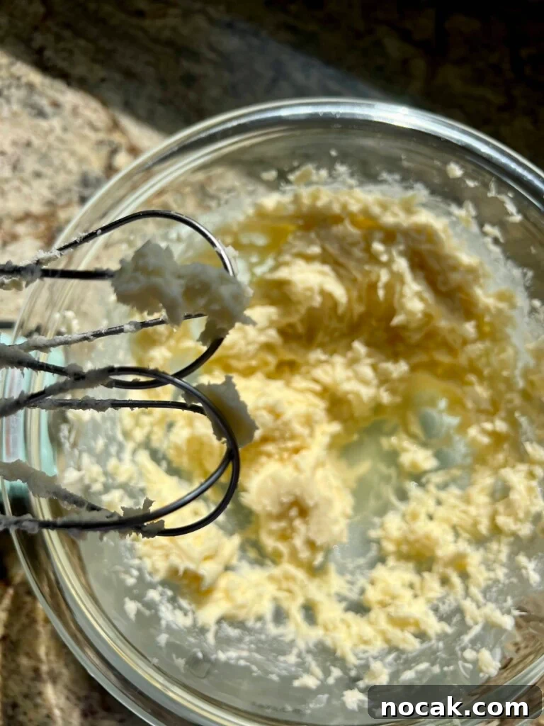 Stand Mixer Reviews: KitchenAid, Bosch, Ankarsrum & Ooni Compared 6 Beaters and a bowl of frosting.