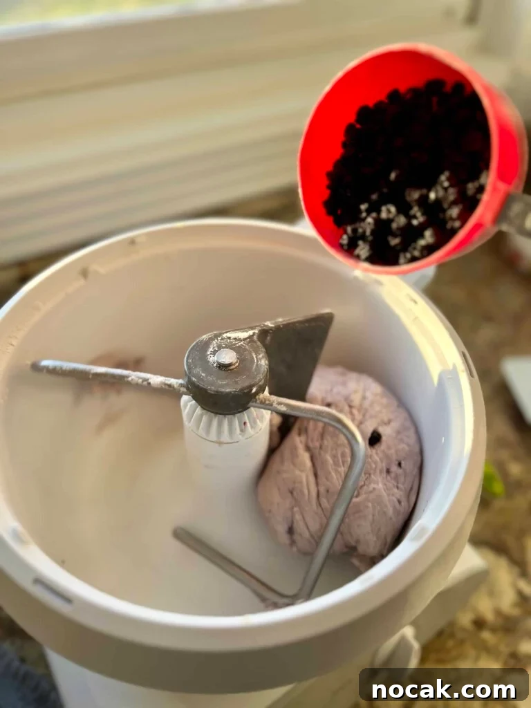 Stand Mixer Reviews: KitchenAid, Bosch, Ankarsrum & Ooni Compared 10 Dried blueberries being added to bagel dough in a Bosch mixer.
