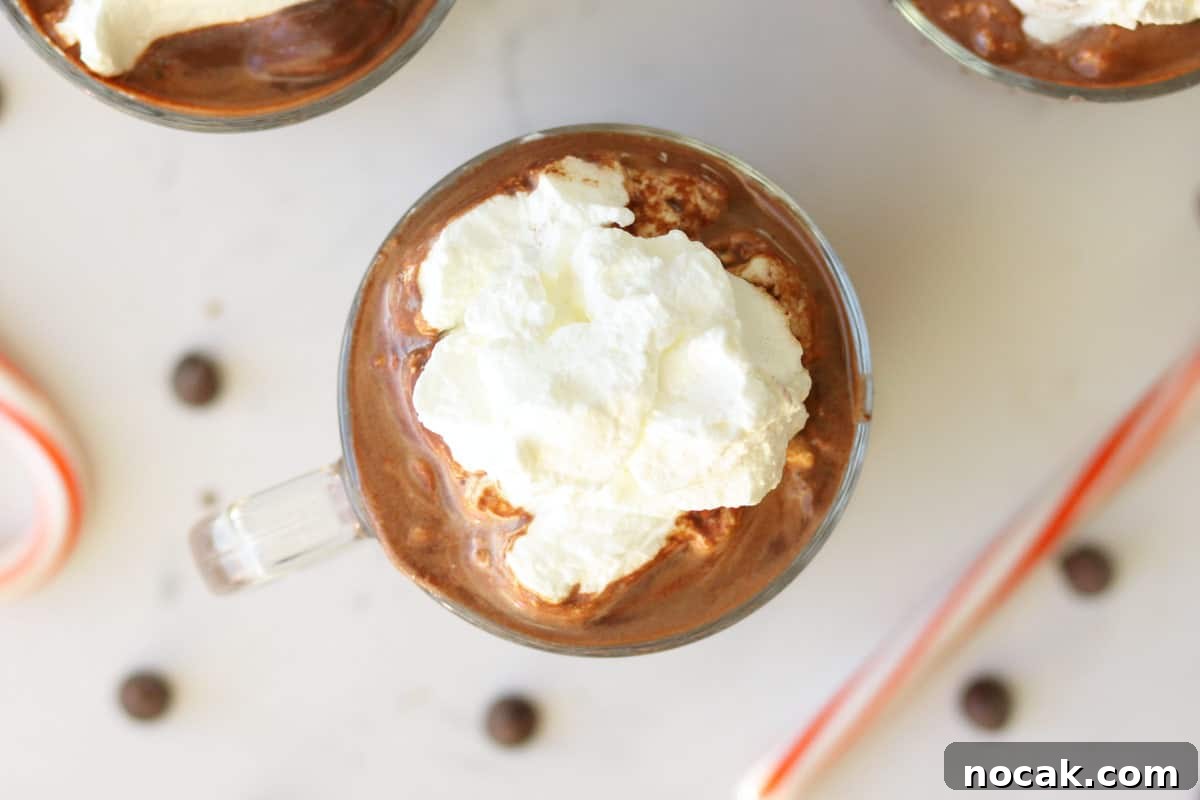 Hot Chocolate without Cocoa Powder: Simple Homemade Recipe 3 a glass mug of hot chocolate topped with whipped cream and chocolate chips and candy canes laying next to it
