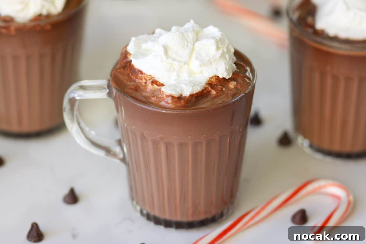 Hot Chocolate without Cocoa Powder: Simple Homemade Recipe 4 a glass mug of hot chocolate topped with whipped cream and chocolate chips and candy canes laying next to it