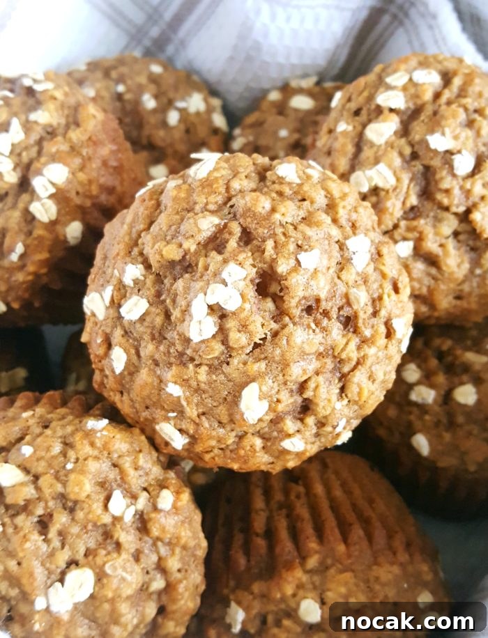 Sugar-Free Oatmeal Applesauce Muffins 2 Healthy Oatmeal Applesauce Muffins - low fat whole wheat muffins made with quick oats