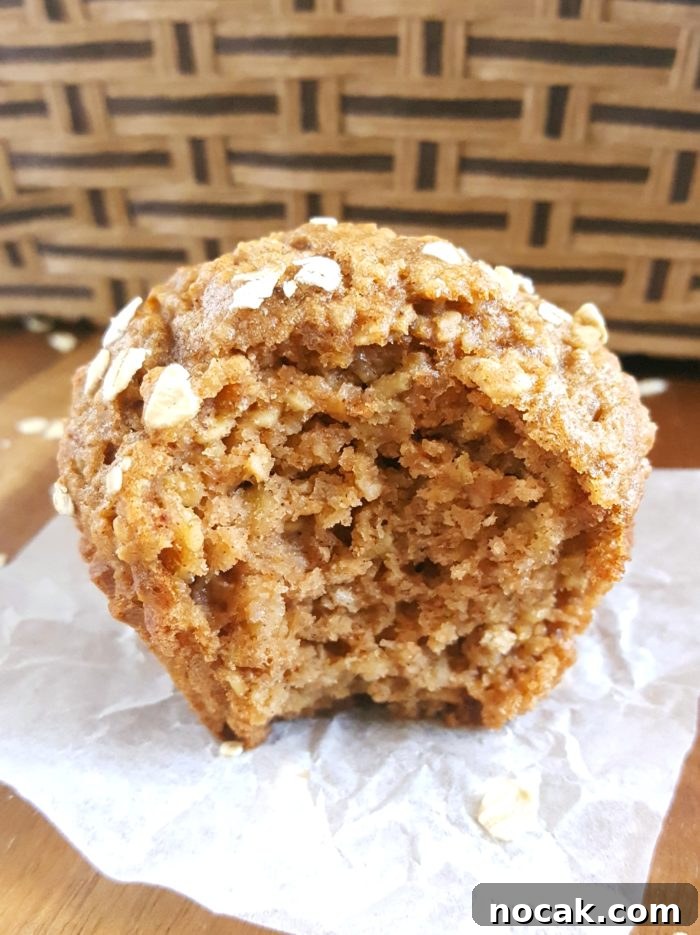 Sugar-Free Oatmeal Applesauce Muffins 3 Healthy Oatmeal Applesauce Muffins - moist and filling whole wheat muffins