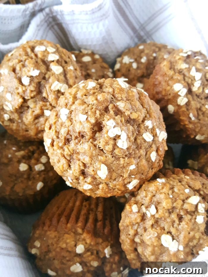 Sugar-Free Oatmeal Applesauce Muffins 4 Healthy Oatmeal Applesauce Muffins - kid-friendly and great for lunchboxes