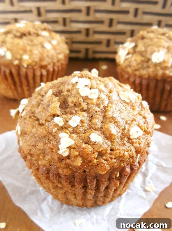 Sugar-Free Oatmeal Applesauce Muffins 5 Healthy Oatmeal Applesauce Muffins - golden tops with oat and brown sugar sprinkle