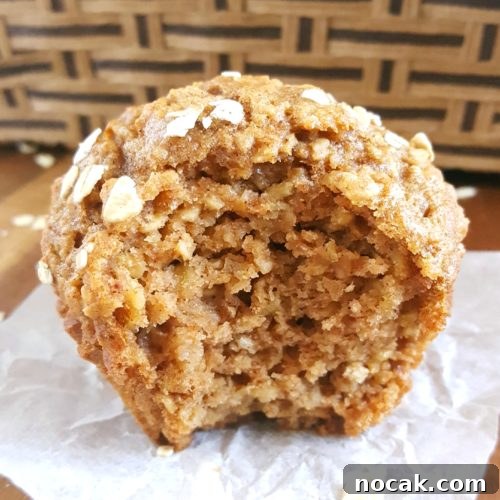 Sugar-Free Oatmeal Applesauce Muffins 6 Healthy Oatmeal Applesauce Muffins - recipe image
