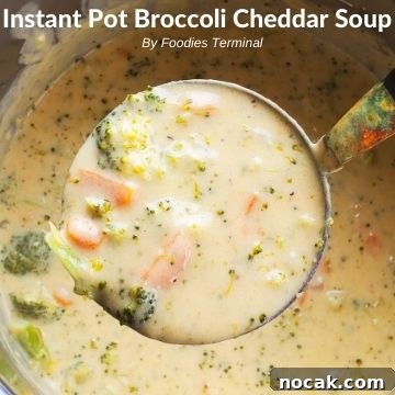 Creamy Vegetable Soup Recipe: Comforting Weeknight Meal 11 Instant Pot Broccoli cheddar soup in a ladle