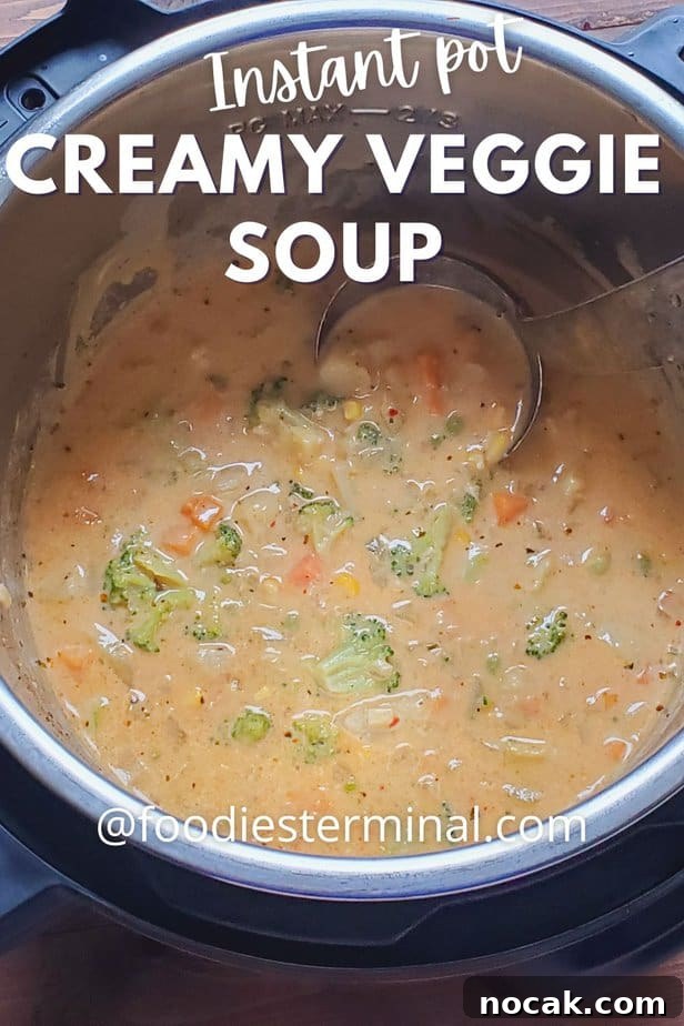 Creamy Vegetable Soup Recipe: Comforting Weeknight Meal 7 beat creamy vegetable soup in instant pot with a ladle