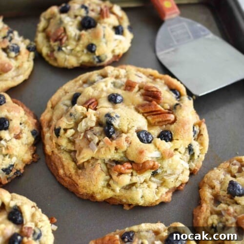 cookies on cookie sheet