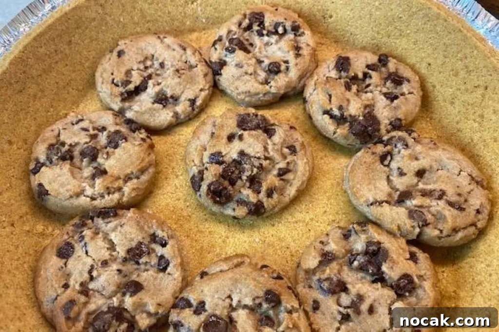 No-Bake Chocolate Chip Cookie Icebox Pie Recipe 6 img 2971 5