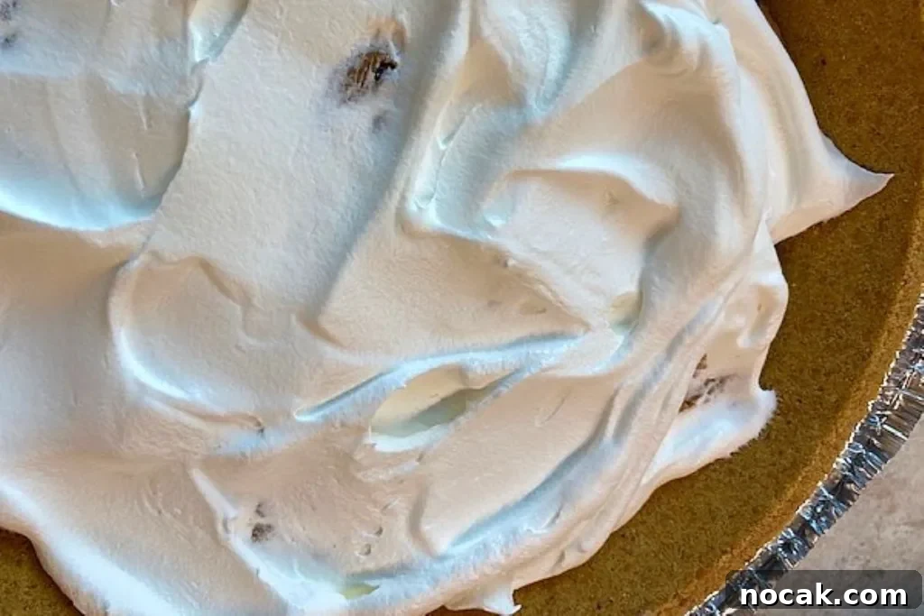 No-Bake Chocolate Chip Cookie Icebox Pie Recipe 7 img 2971 6