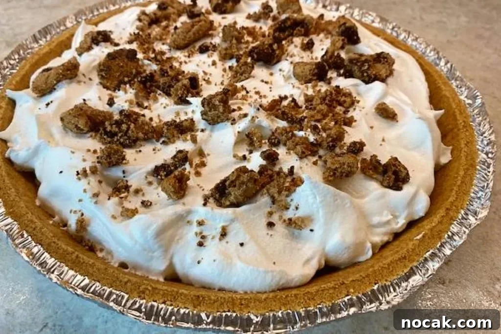 No-Bake Chocolate Chip Cookie Icebox Pie Recipe 9 img 2971 8