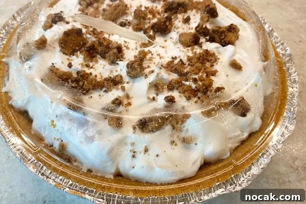 No-Bake Chocolate Chip Cookie Icebox Pie Recipe 10 img 2971 9