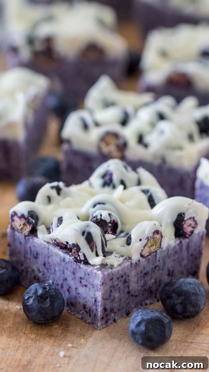 Creamy No-Bake Blueberry Fudge Recipe 2 Homemade blueberry fudge topped with freeze dried blueberries and white chocolate.
