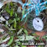 dried mint leaves spilling out of tipped jar with full jar labelled chocolatea mint