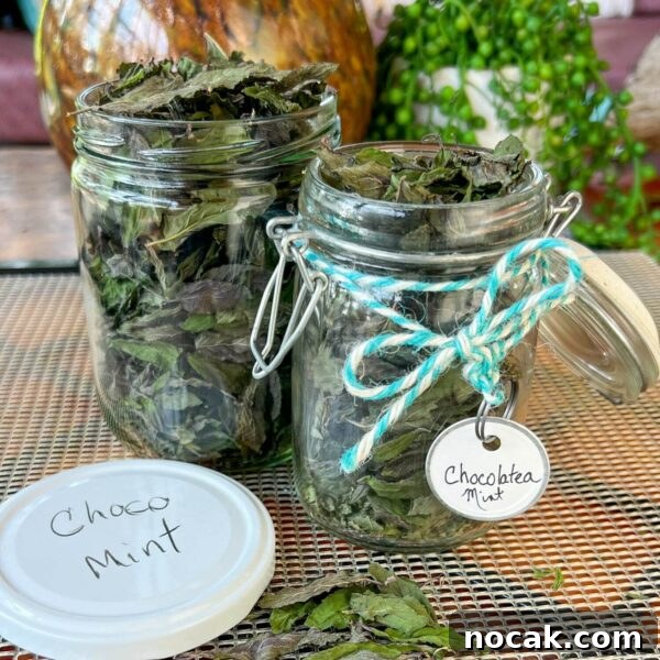 dried mint leaves in jars labeled