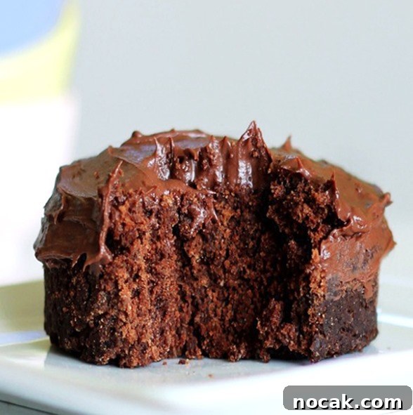 chocolate-cake-for-one Chocolate Mug Cake Recipe