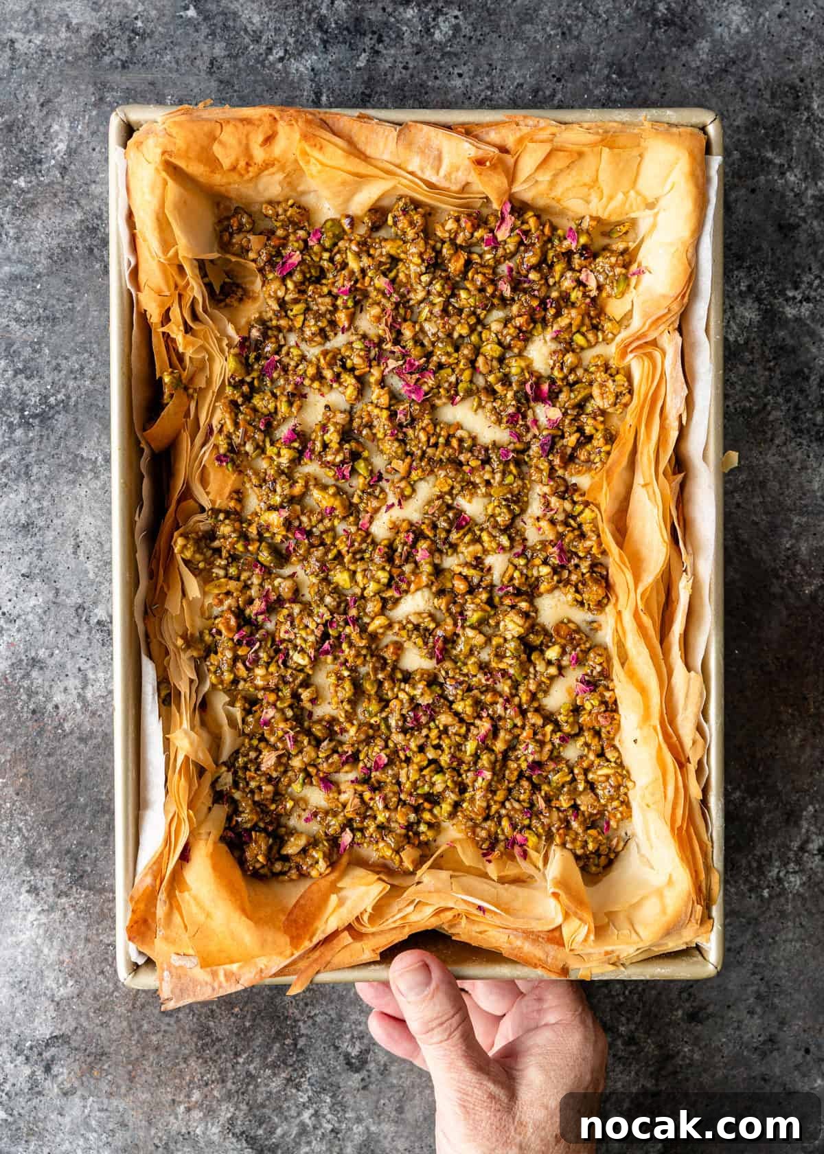 Baklava Cheesecake Bars with Honeyed Pistachios 13 overhead: hand holding baked baklava cheesecake in pan on top of counter