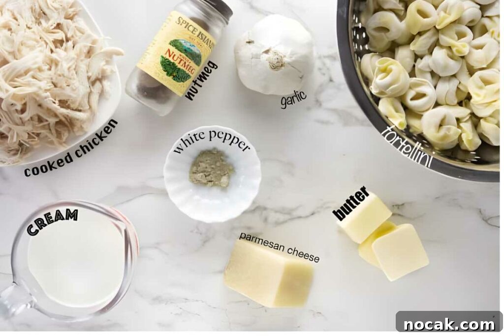 Creamy Chicken Alfredo Tortellini Recipe for Quick Weeknight Dinner 4 Flat lay of cooked chicken, cream, spices, parmesan, garlic, butter, and tortellini.