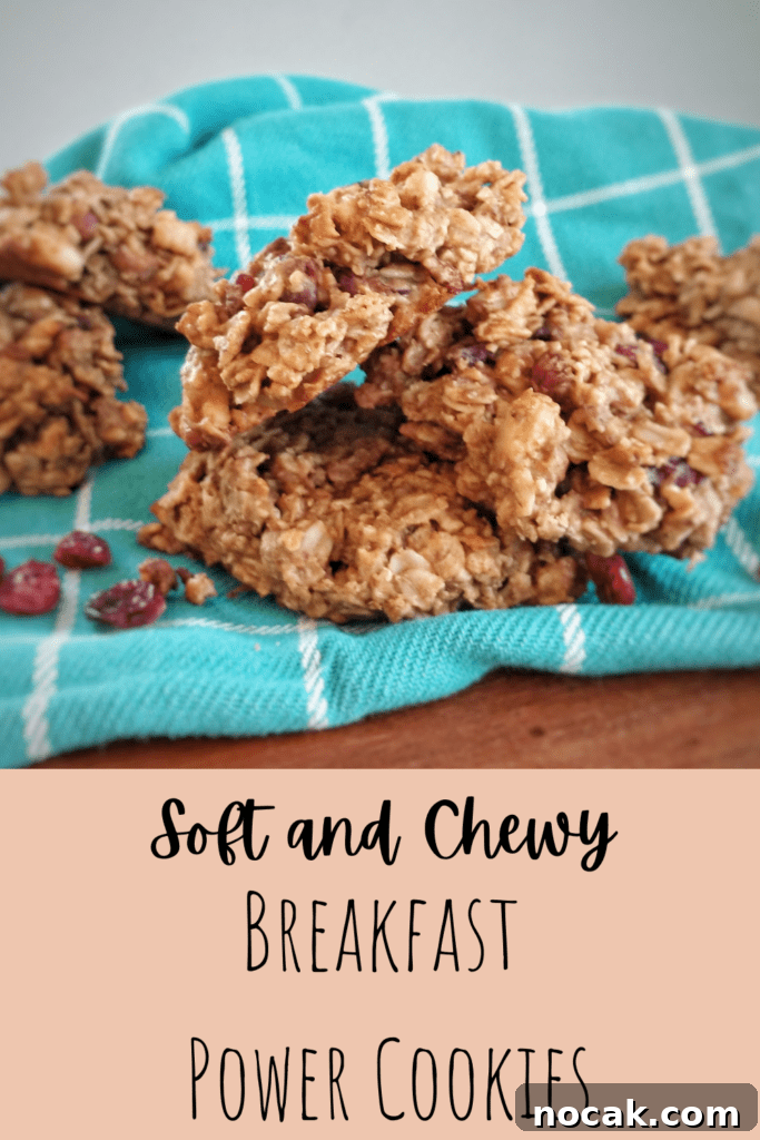Protein-Packed Soft Chewy Breakfast Cookies for Energy 2 img 332 1