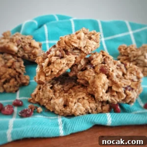 Protein-Packed Soft Chewy Breakfast Cookies for Energy 4 img 332 3