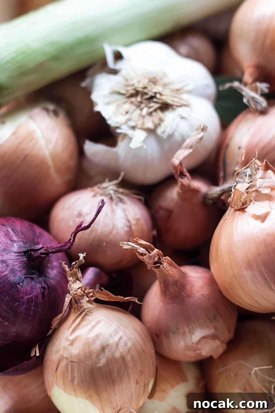 Onion soup Onion soup