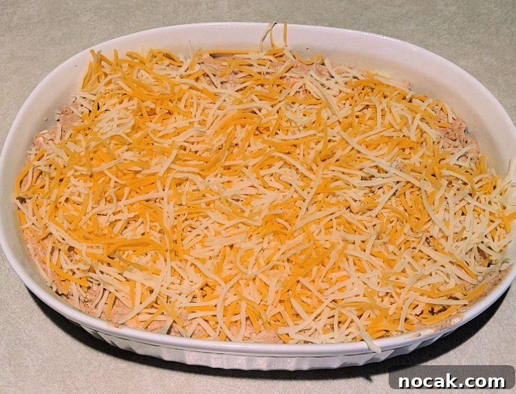 Smoked Refried Bean Dip on a Pit Boss Smoker: Step-by-Step Recipe 4 Smoked Bean Dip Assembled In Pan Before Smoking