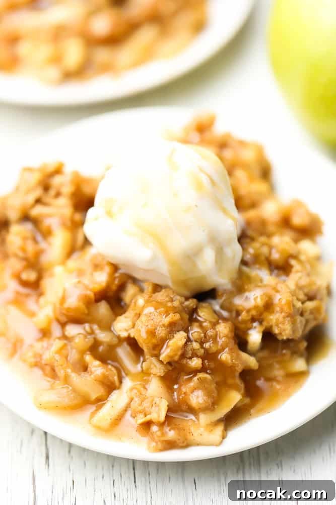 Cinnamon Apple Crisp with Vegan Streusel Topping 2 two plates with apple crisp with ice cream on top