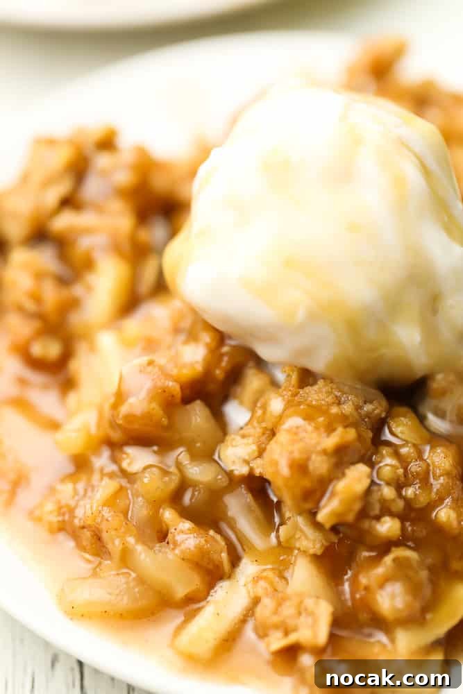 Cinnamon Apple Crisp with Vegan Streusel Topping 3 very close up of apple crisp on a plate with ice cream