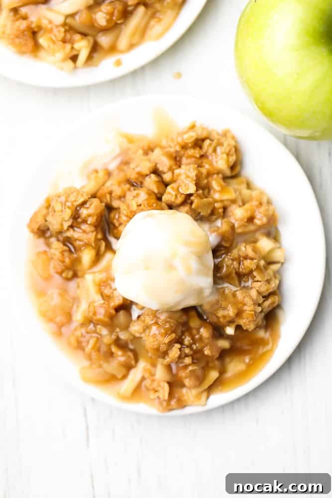 Cinnamon Apple Crisp with Vegan Streusel Topping 6 looking down on two plates of apple crisp with ice cream