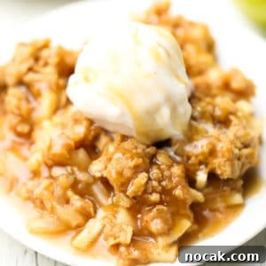 Cinnamon Apple Crisp with Vegan Streusel Topping 7 square image of apple crisp with ice cream on a plate