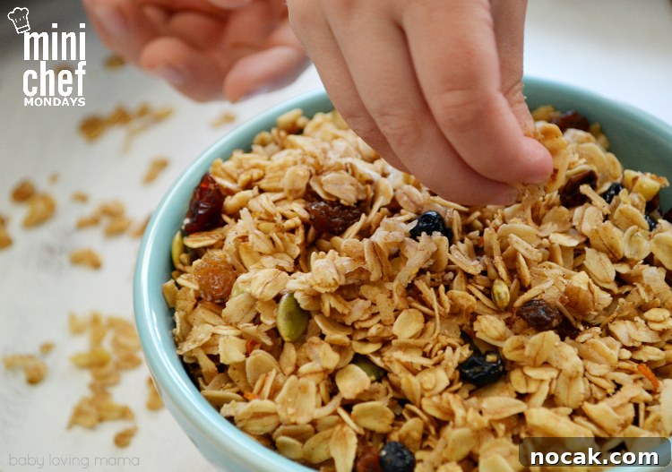 Homemade Berry Granola Recipe | Mini Chef Mondays 7 Homemade Granola