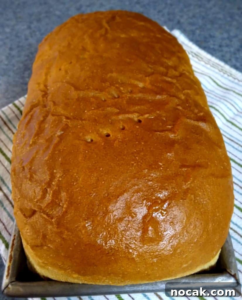 Homemade Amish White Bread: Classic Soft Loaf Recipe 3 a whole loaf of freshly baked Amish white bread with soft crumb in a pan.