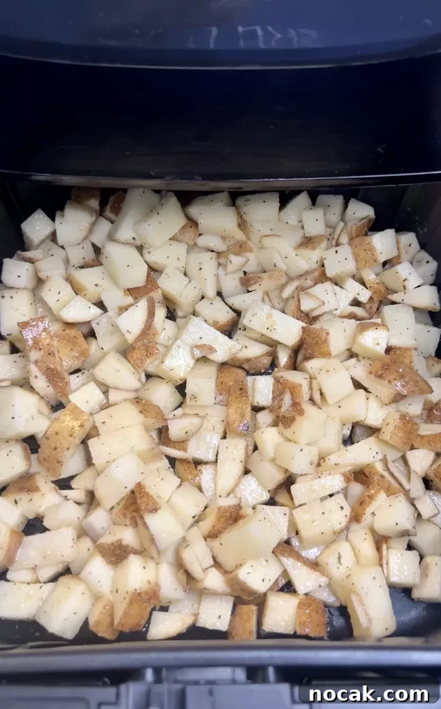 Crispy Air-Fryer Potatoes: Golden, Crunchy Recipe for Any Meal 5 img 3943 4