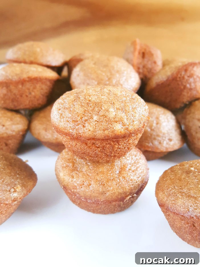 Mini Applesauce Muffins - Moist bite-sized cinnamon applesauce muffins made with oil, lightly sweetened, and dairy-free. An easy recipe with simple ingredients that kids and toddlers love! | Beat Bake Eat