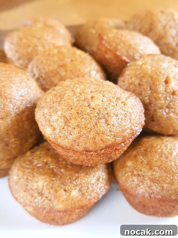 Mini Applesauce Muffins - Moist bite-sized cinnamon applesauce muffins made with oil, lightly sweetened, and dairy-free. An easy recipe with simple ingredients that kids and toddlers love! | Beat Bake Eat