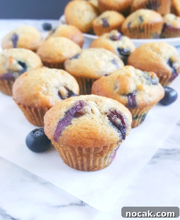 Mini Blueberry Banana Muffins - My kids love these muffins. They're so fun to eat! Super easy to make and dairy-free too so we have them for breakfast quite often. They never last long in my house.