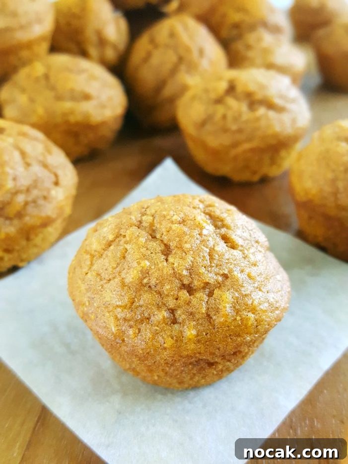 Mini Healthy Pumpkin Muffins for Kids! - Moist, dairy-free mini pumpkin muffins made with oil, whole wheat flour, brown sugar, & natural sweetener. Easy to make, healthy & delicious, & the perfect size for little hands. | Beat Bake Eat