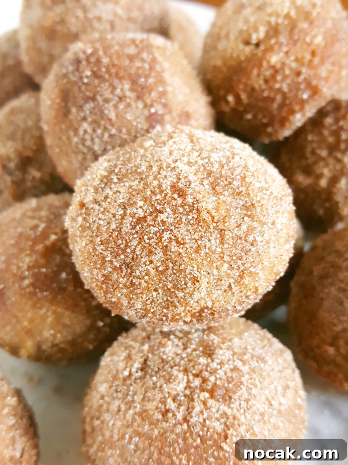 Mini Old-Fashioned Cinnamon Sugar Sour Cream Donut Muffins - Easy recipe for baked cinnamon sugar doughnuts in a mini muffin pan. | Beat Bake Eat