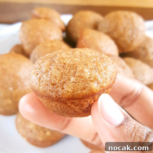 Mini Applesauce Muffins - Moist bite-sized cinnamon applesauce muffins made with oil, lightly sweetened, and dairy-free. An easy recipe with simple ingredients that kids and toddlers love! | Beat Bake Eat