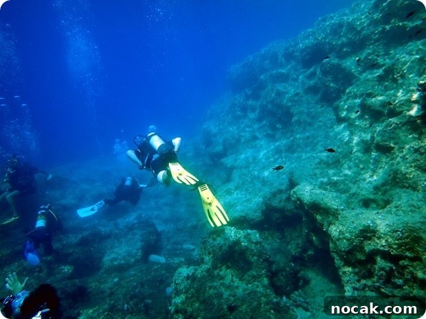 Underwater life Underwater life