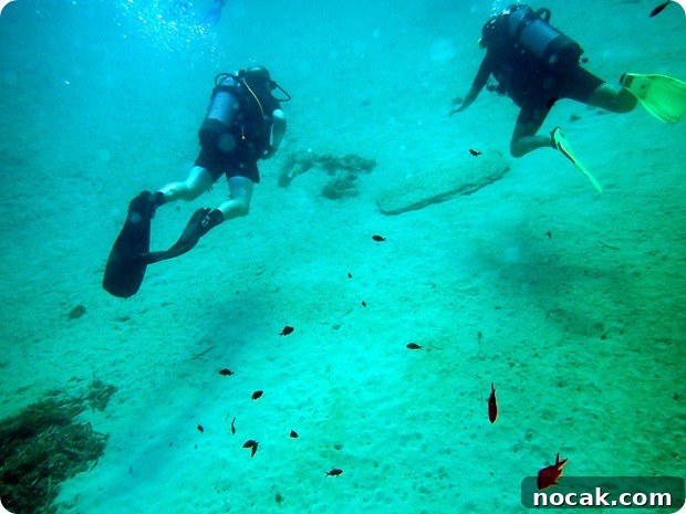 Diving prep Diving prep