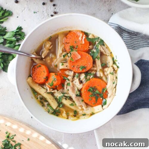 bowl with chicken noodle soup without celery topped with parsley.