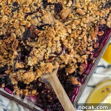 Wooden dipped in pan with lemon blueberry crisp.