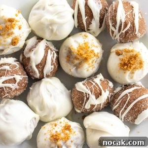 biscoff truffles recipe shown on serving bowl