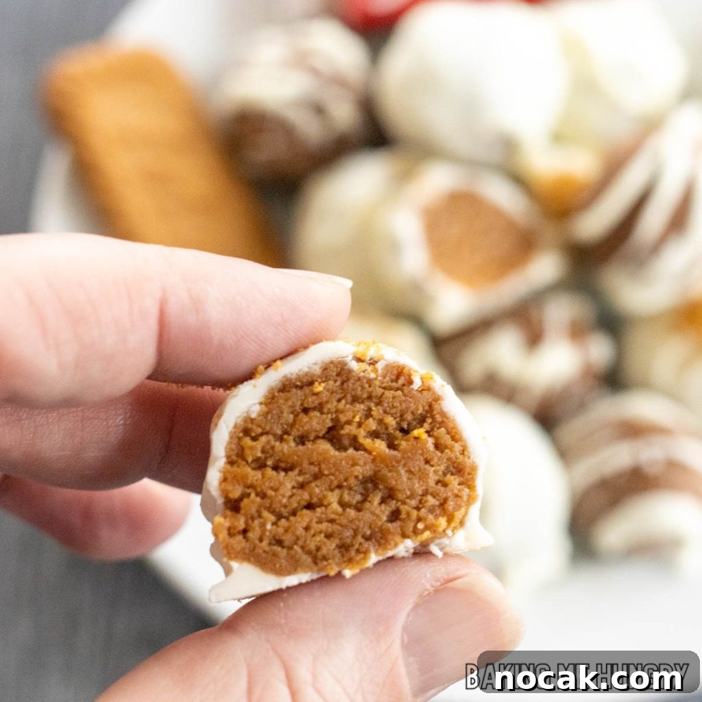 hand holding a halved biscoff cookie truffle