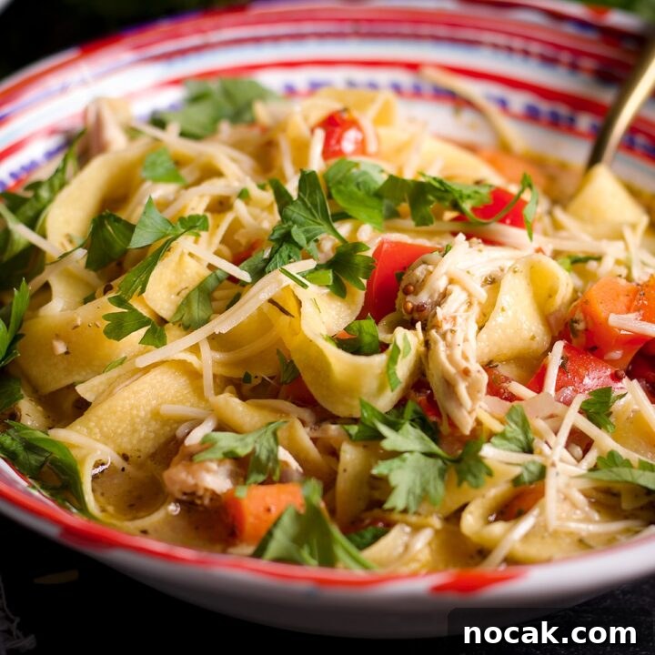 Rotisserie chicken noodle soup
