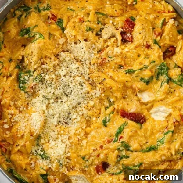Marry Me Chicken and Rice — One-Pan Dump and Bake Recipe 10 A close up of a one pan pasta meal called Marry Me Chicken Orzo.